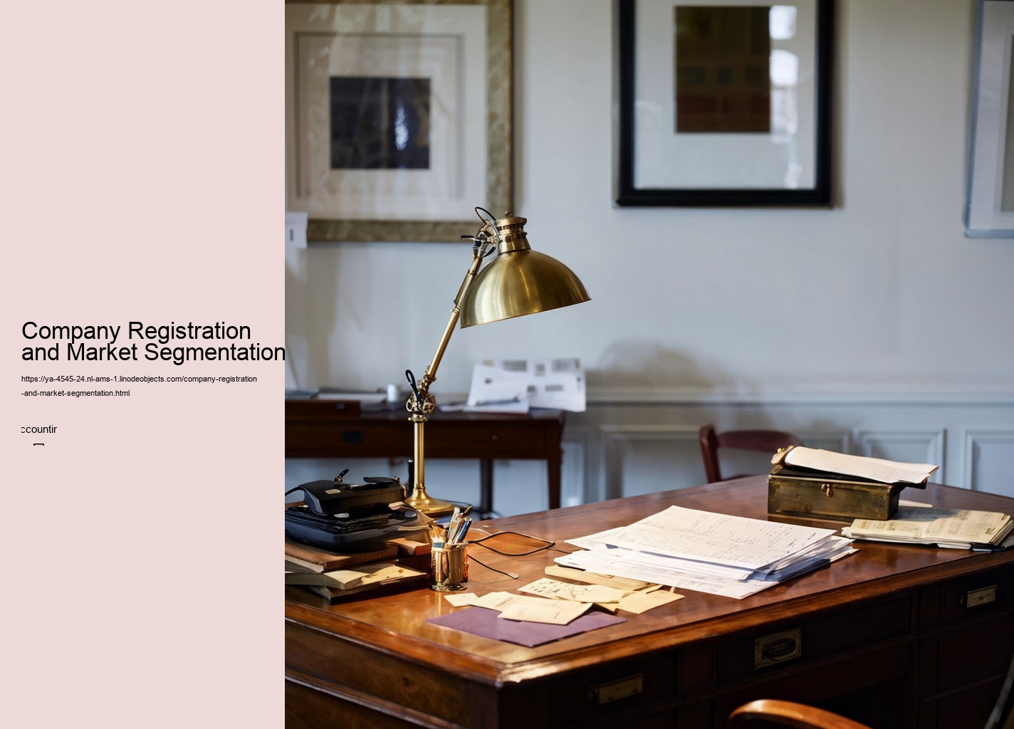 Company Registration and Market Segmentation